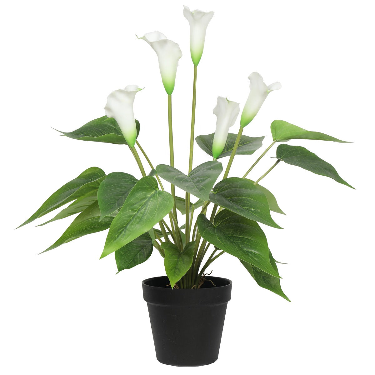 Artificial Flowering Peace Lily Plant 50cm (White)