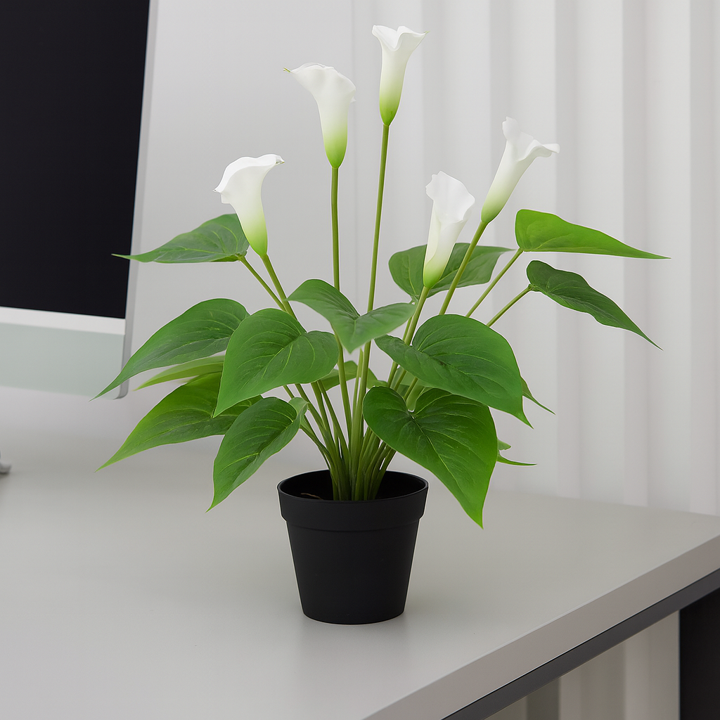 Artificial Flowering Peace Lily Plant 50cm (White)