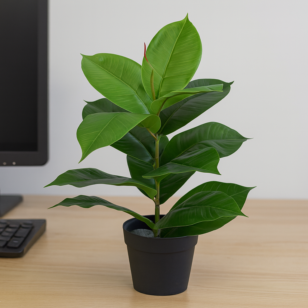 Artificial Potted Rubber Plant 55cm