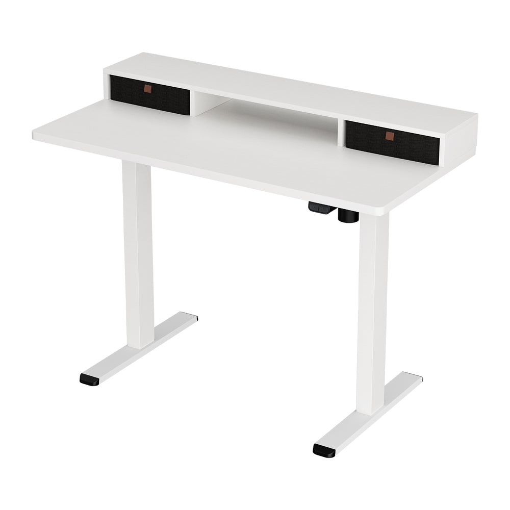 Electric Standing Desk & Storage Shelf