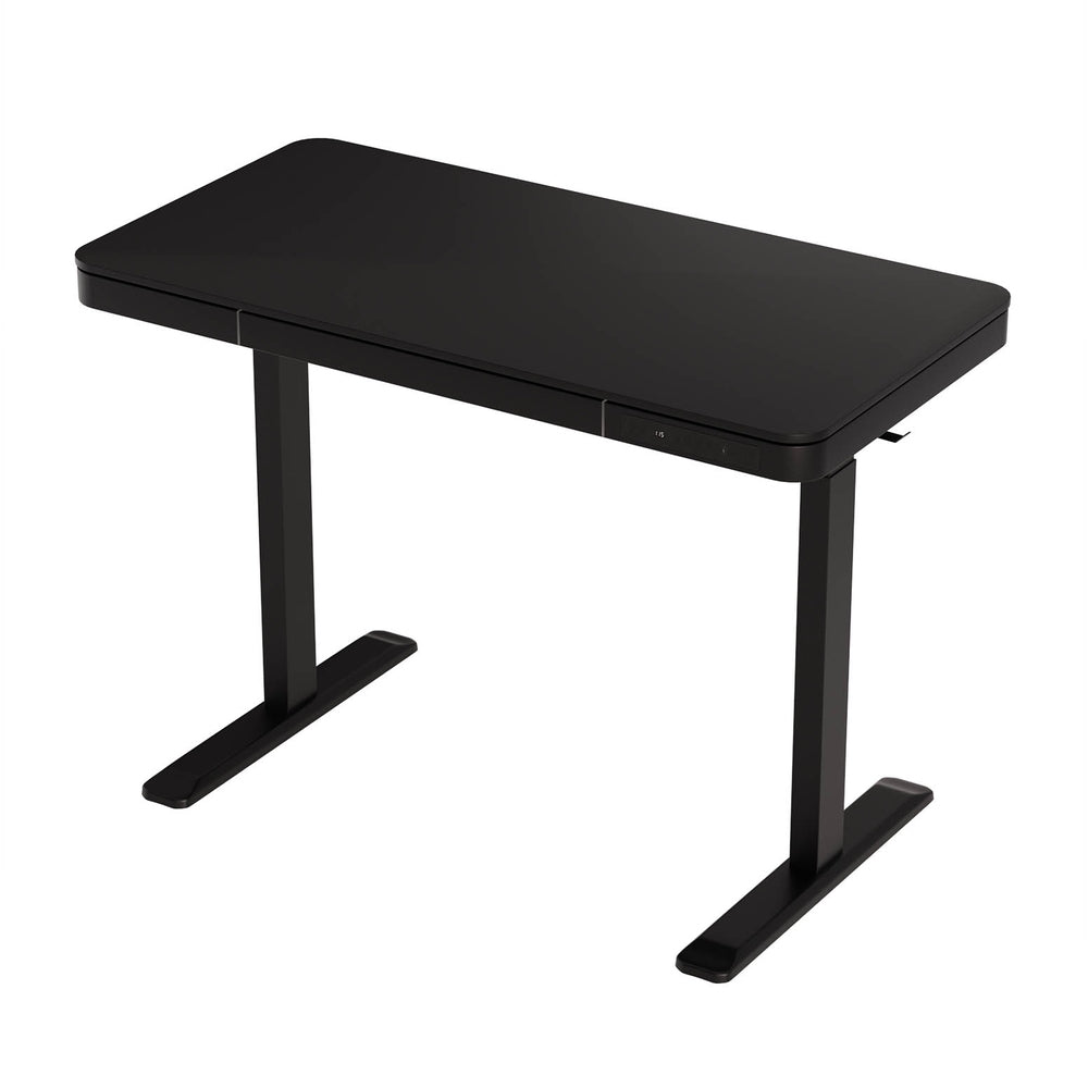 Dual Motor Standing Desk (Black)