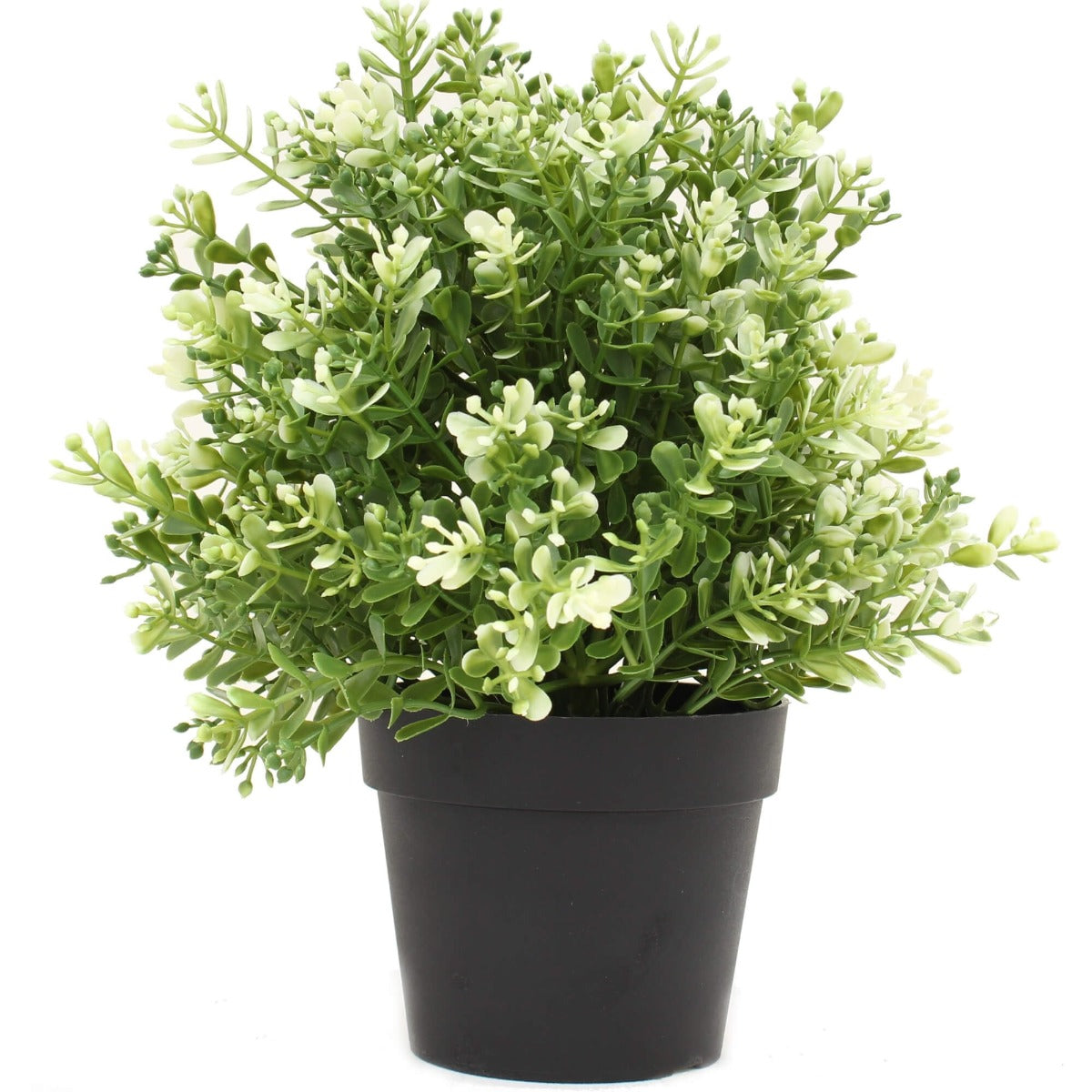 Potted Artificial White Jade Plant 20cm